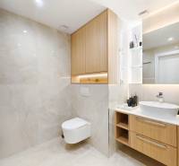 Badezimmer mit Holzboden-Dekor in einer 2-Zimmer-Wohnung, helle Fliesen und hängendes WC.