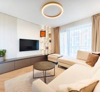 Wohnzimmer in einer Zweizimmerwohnung mit Sofa, Fernseher und Boden in Holzoptik.