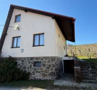Ein Ferienhaus in Zlaté Moravce mit einem Steinfundament und einem Weinberg am Hang.