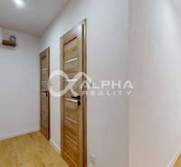 Eingangsflur in einer Einzimmerwohnung mit Holzboden und weißen Wänden.
