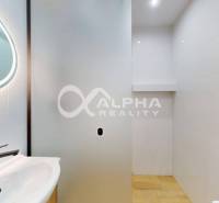 Badezimmer mit ovalem Spiegel, Glaswand und Holzboden in einer Einzimmerwohnung.