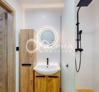 Badezimmer in einer Einzimmerwohnung mit Holzboden und Duschkabine.