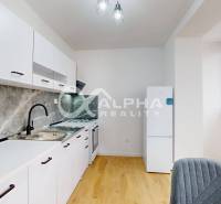 Eine Küche mit weißen Schränken, einem Holzboden und einem Ausblick in einer Einzimmerwohnung.