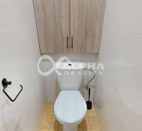 Toilette mit einem Aufbewahrungsschrank ausgestattet, Boden mit Holzdekor in einer Einzimmerwohnung.