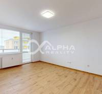 Ein geräumiges Zimmer mit Holzboden und einem großen Fenster in einer Einzimmerwohnung.