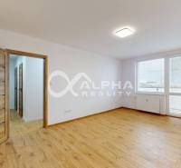 Ein leerer Raum mit einem Holzboden und einem großen Fenster in einer Einzimmerwohnung.