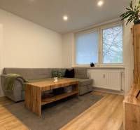 Wohnzimmer in einer 4-Zimmer-Wohnung mit Holzboden und bequemer Couch.