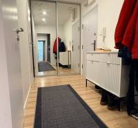 Flur einer 4-Zimmer-Wohnung mit Holzboden und großem Spiegel.