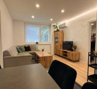 Wohnzimmer mit Sofa, Fernseher und Dekoration auf dem Boden in einer 4-Zimmer-Wohnung.
