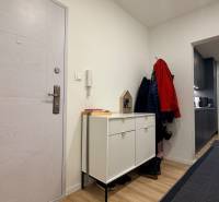 Eingangsbereich in einer 4-Zimmer-Wohnung mit weißen Türen und einem Boden in Holzoptik.