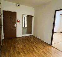 Eingangsflur mit Spiegel und Boden in Holzoptik in einer 3-Zimmer-Wohnung.