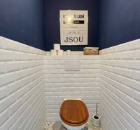 IMG_2393.jpeg