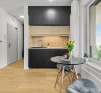 Küche mit grauen Schränken und Holzboden in einer Einzimmerwohnung.