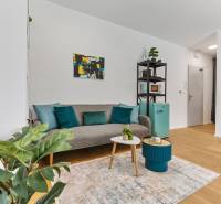 Helles Wohnzimmer in einer Einzimmerwohnung mit Sofa und Pflanze, Boden mit Holzdekor.