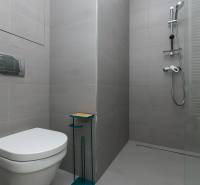 Badezimmer mit Toilette und Duschkabine in einer Einzimmerwohnung.