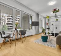 Wohnzimmer einer Einzimmerwohnung mit großen Fenstern, Holzboden und Pflanzen.
