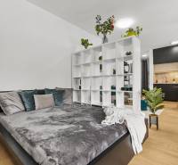 Einzimmerwohnung mit Bett, Regal, Holzboden und schwarzer Küche.