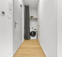 Ein enger Flur in einer Einzimmerwohnung mit einem Vorhang und einer Waschmaschine.