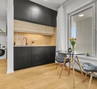 Küche in einer Einzimmerwohnung mit schwarzen Möbeln, Waschmaschine und Holzboden.