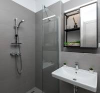Graues Badezimmer mit Dusche, Waschbecken und großem Spiegel in einer Einzimmerwohnung.