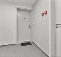 Flur mit Türen, hellgrauen Wänden und Fliesen in einer Einzimmerwohnung.