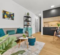 Wohnzimmer mit Sofa, dekorativen Kissen und Holzboden in einer Einzimmerwohnung.