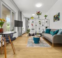 Helle 1-Zimmer-Wohnung mit Holzboden, Sofa und Essecke.