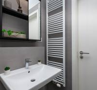 Badezimmer in einer Einzimmerwohnung mit Waschbecken, Handtuchheizkörper und Ablagefächern.