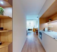 Küche in einer Einzimmerwohnung mit Regalen und Boden in Holzoptik.