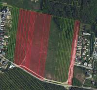 Luftaufnahme von Wohnbaugrundstücken in der Gegend von Studienka, umgeben von Grünflächen.