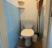 Eine Toilette in einem Einfamilienhaus mit blauen Fliesen, Eckregalen und einem Teppich.