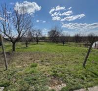Garten im Einfamilienhaus in der Hauptstraße in Radava mit Obstbäumen und Rasen.