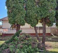 Einfamilienhaus in der Hauptstraße in Radava mit Vorgarten und Hecke.