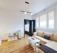 Wohnzimmer in einer 3-Zimmer-Wohnung mit Holzboden und bequemer grauer Couch.