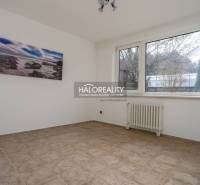 Ein geräumiges Zimmer mit Fenster und Heizkörper in einem Einfamilienhaus.