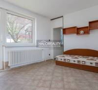 Innenraum eines Einfamilienhauses mit Bett, Regalen, Heizkörper und großem Fenster.