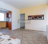 Innenraum eines Einfamilienhauses mit gefliestem Boden, einem Bild von Elefanten und Blick in die Küche.