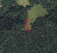 Der Satellitenkarte zeigt landwirtschaftliche und forstwirtschaftliche Grundstücke in Lazy pod Makytou mit eingezeichneten Parzellen.