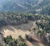 Luftaufnahme von landwirtschaftlichen und forstwirtschaftlichen Flächen in Lazy pod Makytou, umgeben von dichtem Wald.