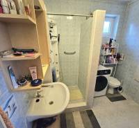 Badezimmer in einem Einfamilienhaus mit Waschbecken, Dusche, Waschmaschine und offenem Regal mit Kosmetik.