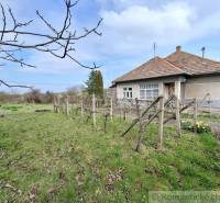Ein Einfamilienhaus in Ľuba, umgeben von einem Garten und Weinreben, mit einem Holzdach.