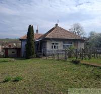 Ein Einfamilienhaus in Ľubá, umgeben von einem Garten mit Weinreben und einem Nadelbaum vor dem Haus.