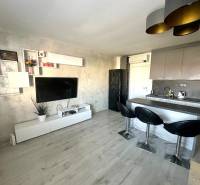 Küche in einer 2-Zimmer-Wohnung mit Fernseher, Holzboden und Bartresen.