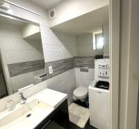 Badezimmer in einer 2-Zimmer-Wohnung mit Waschbecken, Waschmaschine und WC.