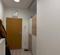 Eingangsflur in einer 2-Zimmer-Wohnung, weiße Wände und Türen, Boden mit Holzdekor.