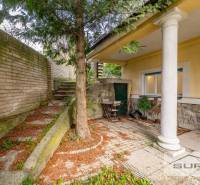 Exterieur einer 4-Zimmer-Wohnung in der Krčméryho-Straße in Bratislava - Altstadt mit Baum und Treppenhaus.