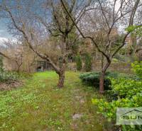Garten bei einer 4-Zimmer-Wohnung in der Krčméryho-Straße in Bratislava - Altstadt.