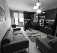 Wohnzimmer in einer 2-Zimmer-Wohnung mit dunklen Möbeln und einem komfortablen Sofa.