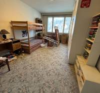 Ein Zimmer in einer 2-Zimmer-Wohnung mit einem Etagenbett, einem Teppich und Regalen voller Bücher.