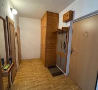 Flur mit Holzboden und Einbauschränken in einer 2-Zimmer-Wohnung.